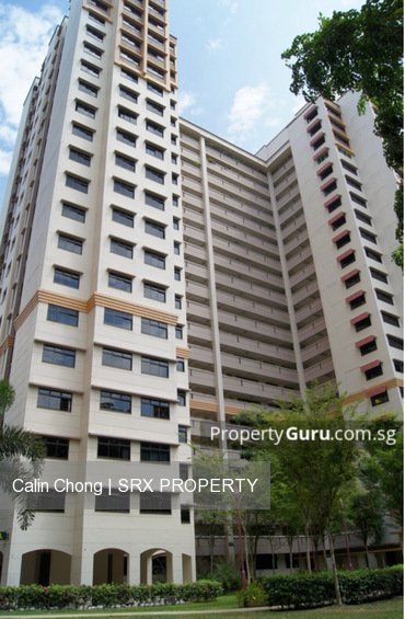 Blk 6A Boon Tiong Arcadia (Bukit Merah), HDB 5 Rooms #202232012